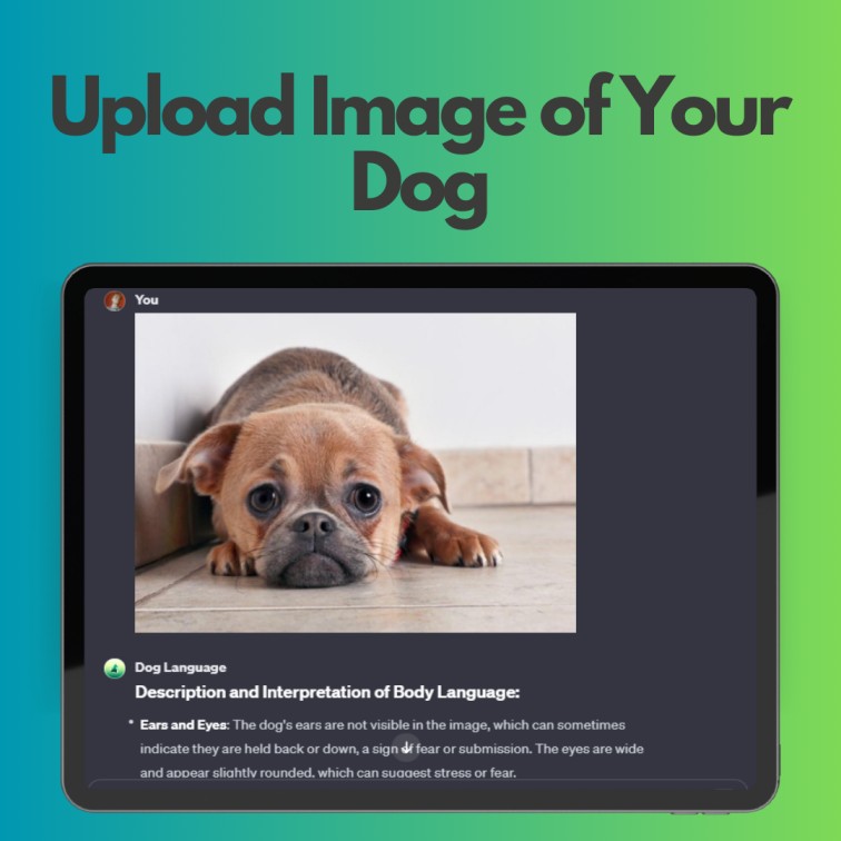 Dog Language GPT with Image